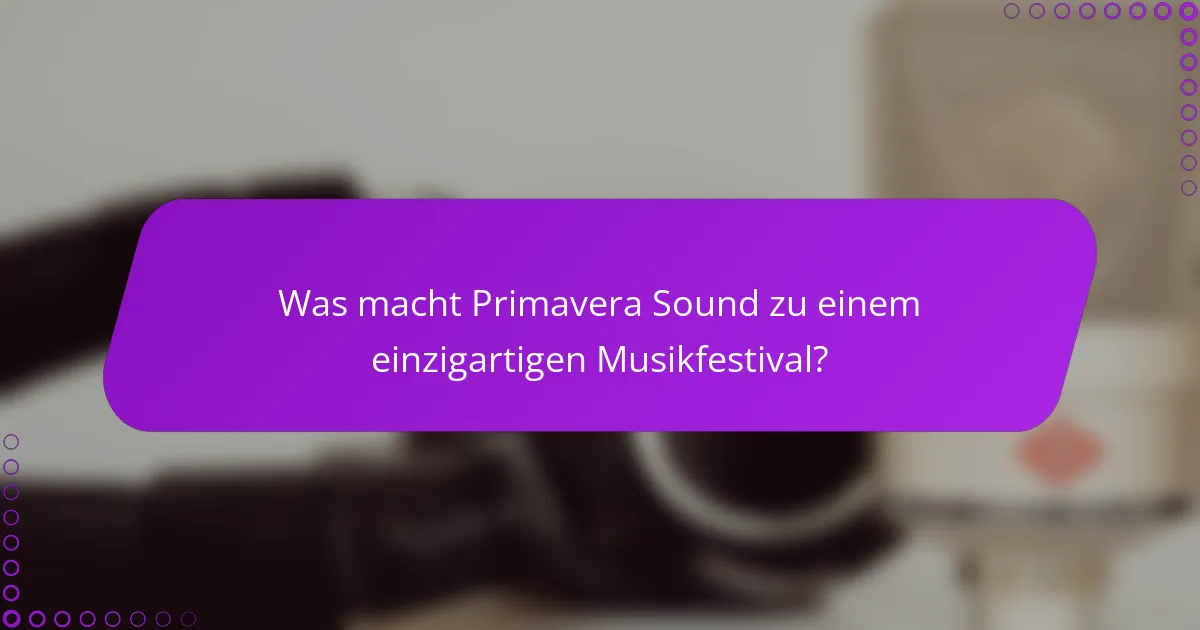 Was macht Primavera Sound zu einem einzigartigen Musikfestival?