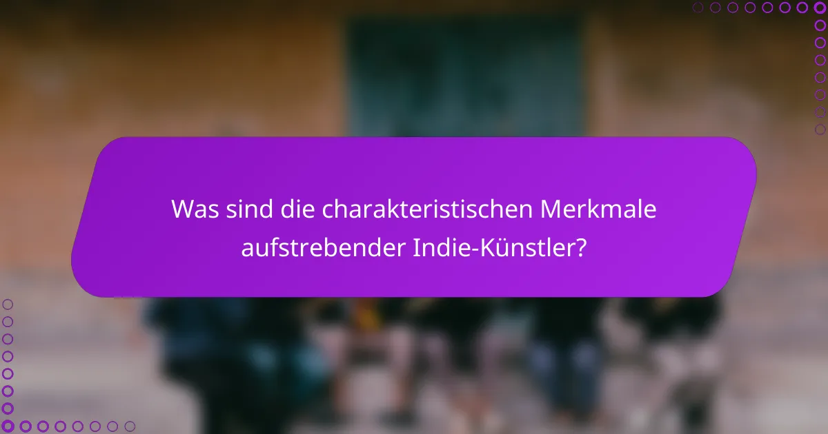 Was sind die charakteristischen Merkmale aufstrebender Indie-Künstler?