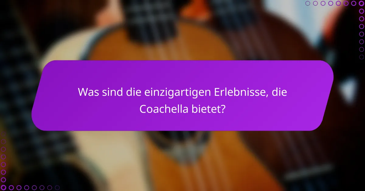 Was sind die einzigartigen Erlebnisse, die Coachella bietet?