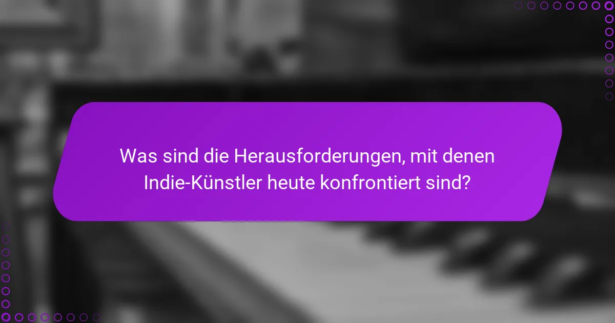 Was sind die Herausforderungen, mit denen Indie-Künstler heute konfrontiert sind?