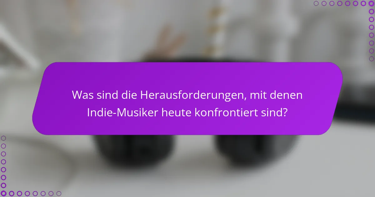 Was sind die Herausforderungen, mit denen Indie-Musiker heute konfrontiert sind?
