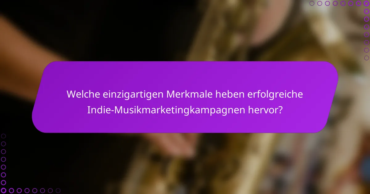 Welche einzigartigen Merkmale heben erfolgreiche Indie-Musikmarketingkampagnen hervor?