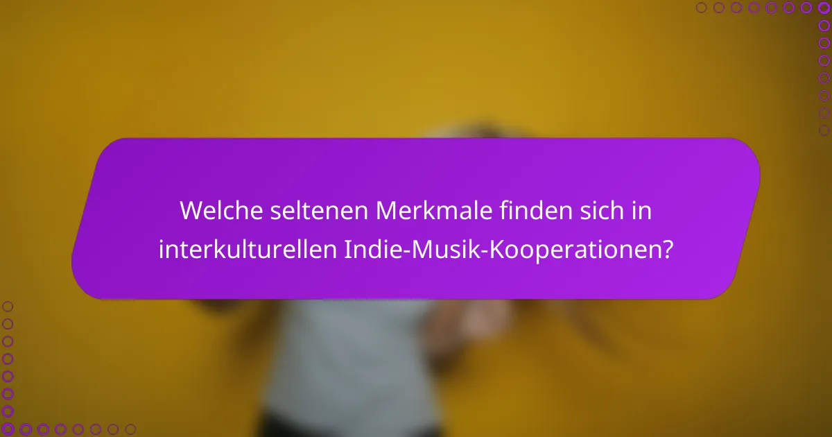 Welche seltenen Merkmale finden sich in interkulturellen Indie-Musik-Kooperationen?