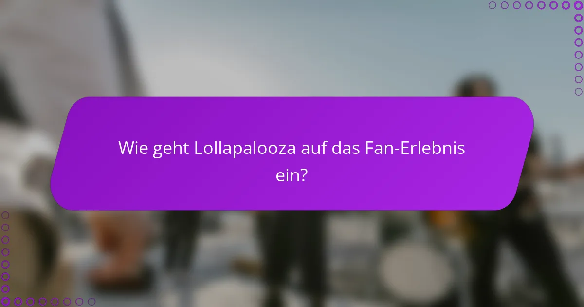 Wie geht Lollapalooza auf das Fan-Erlebnis ein?
